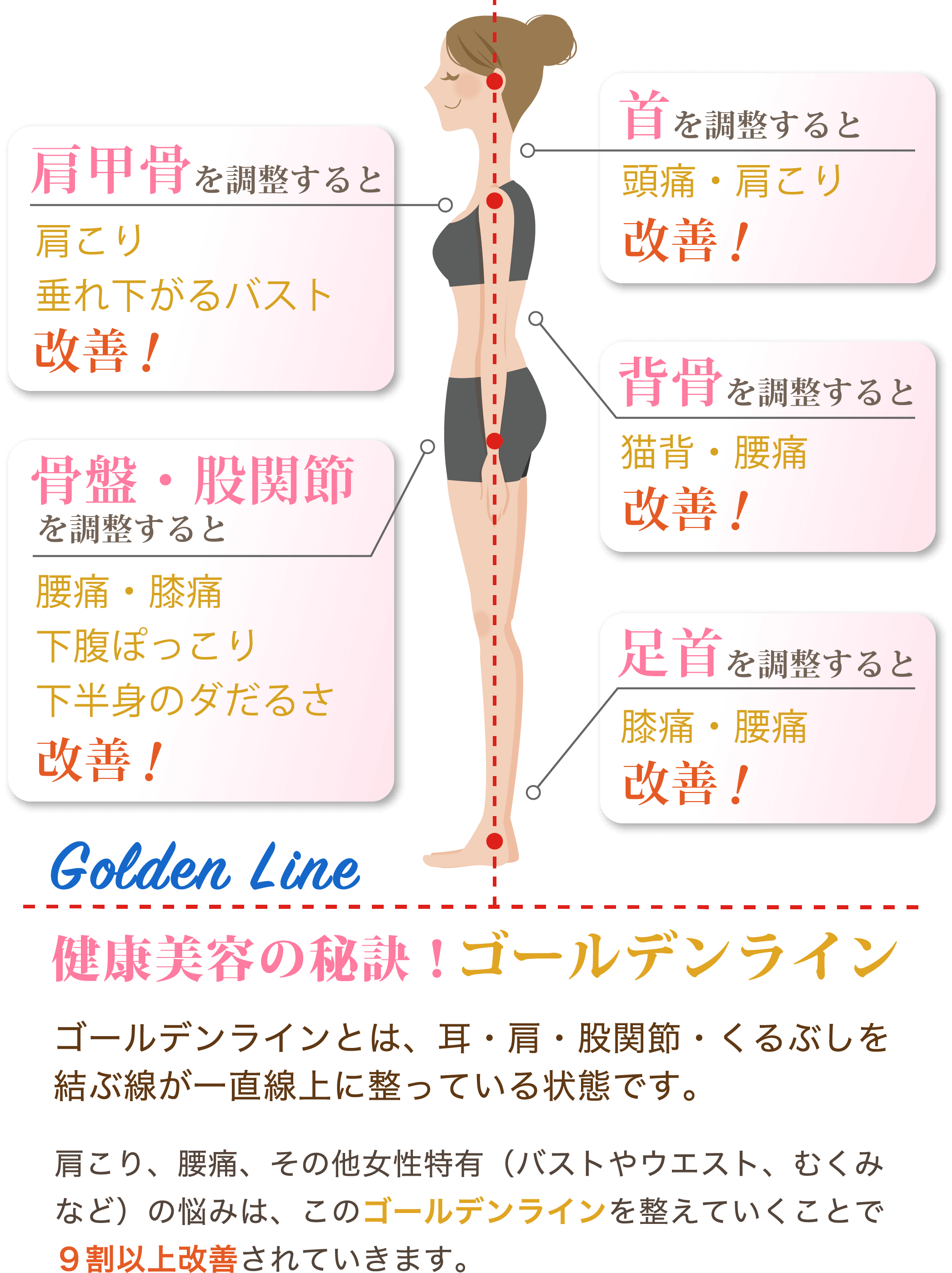 健康美容の秘訣!ゴールデンライン